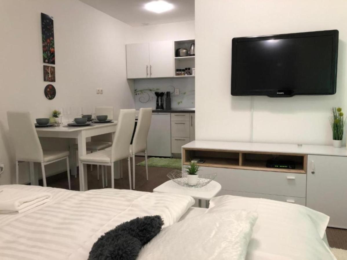 Modern Center Studio Under The Castle - Free Parking Διαμέρισμα Λιουμπλιάνα Εξωτερικό φωτογραφία